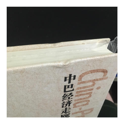 中巴經濟走廊·中國“一帶一路”戰略旗艦項目研究