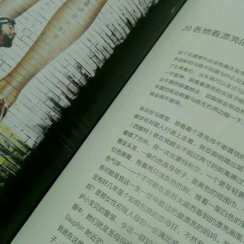 不假思索貪看天下