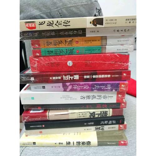 飛龍全傳