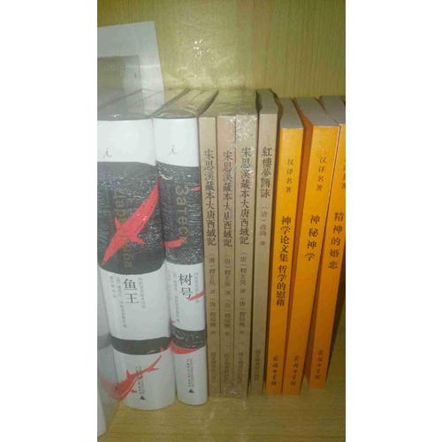 國學基本典籍叢刊：宋思溪藏本大唐西域記（全三冊）
