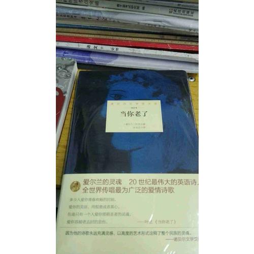諾貝爾文學獎大系·當你老了