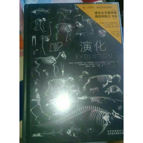 演化