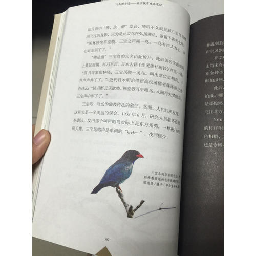 飛鳥相與還：南方城市觀鳥筆記