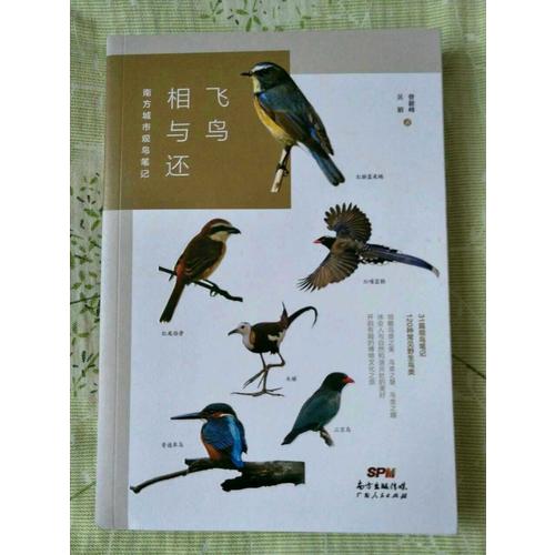 飛鳥相與還：南方城市觀鳥筆記