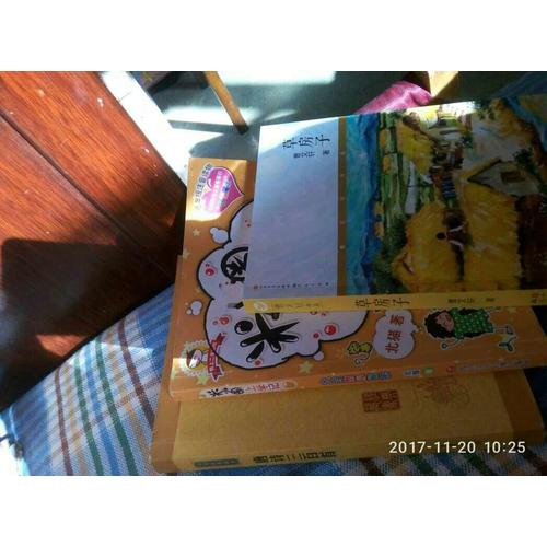 白洋淀紀事（中學生定制版）部編教材七年級上指定閱讀書系