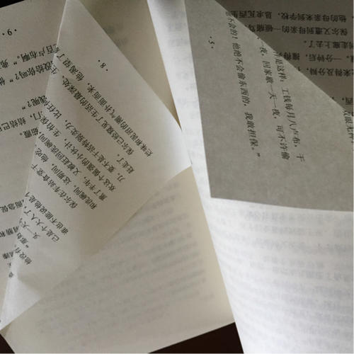 鋼鐵是怎樣煉成的（新課標）
