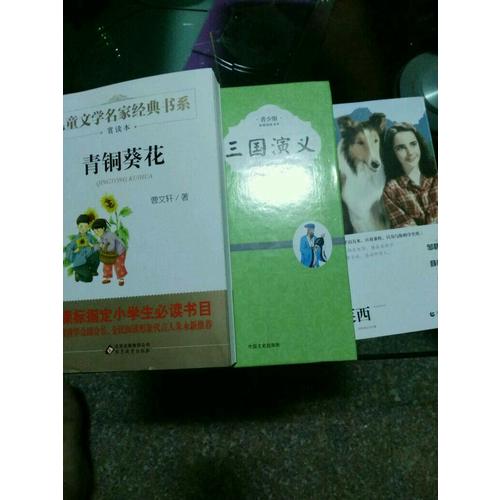 青銅葵花