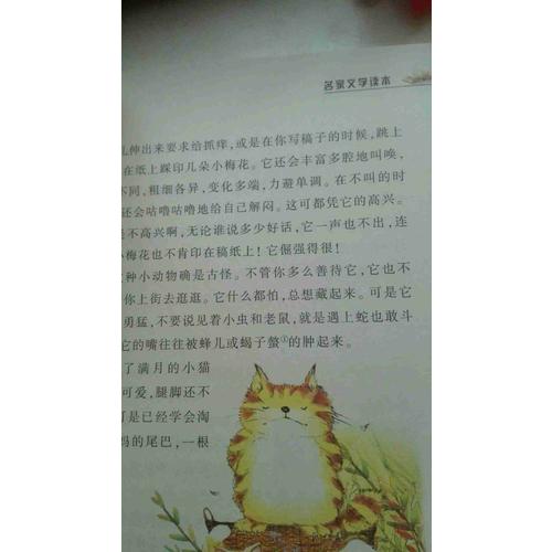 名家文學讀本：小學生老舍讀本