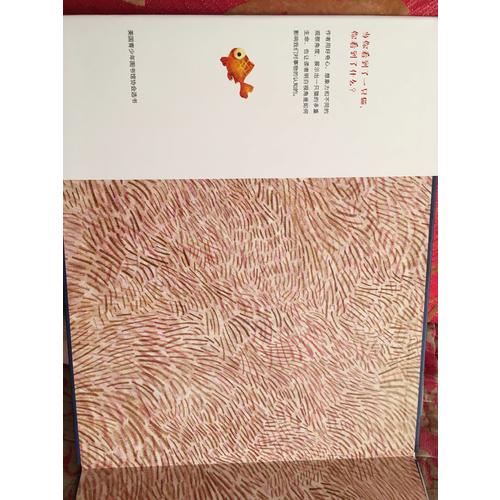 他們都看見了一只貓