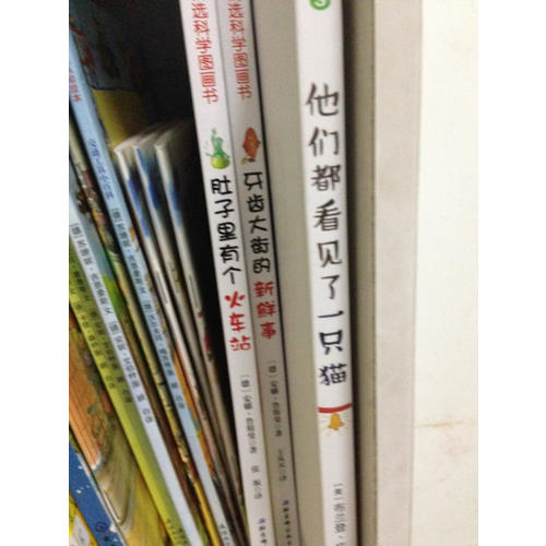 他們都看見了一只貓