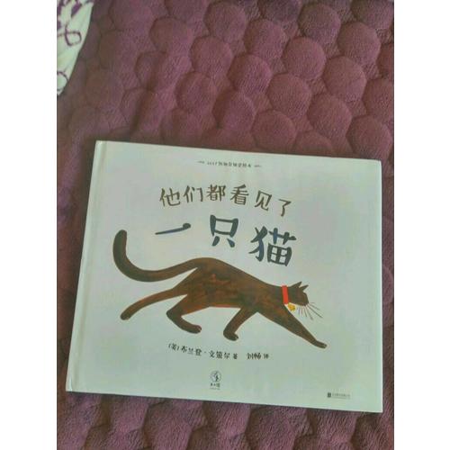 他們都看見了一只貓