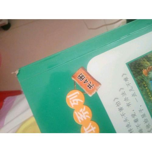 小熊布迪健康成長繪本系列 這樣洗頭不害怕
