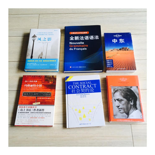 孤獨星球Lonely Planet國際旅行指南系列:中東