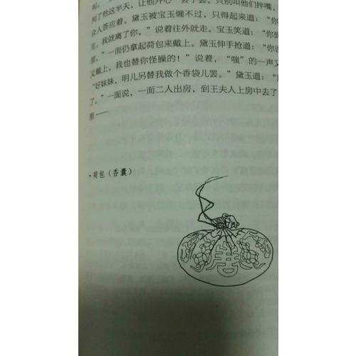 紅樓夢（全二冊）