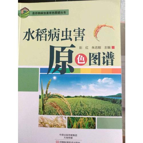 水稻病蟲害原色圖譜