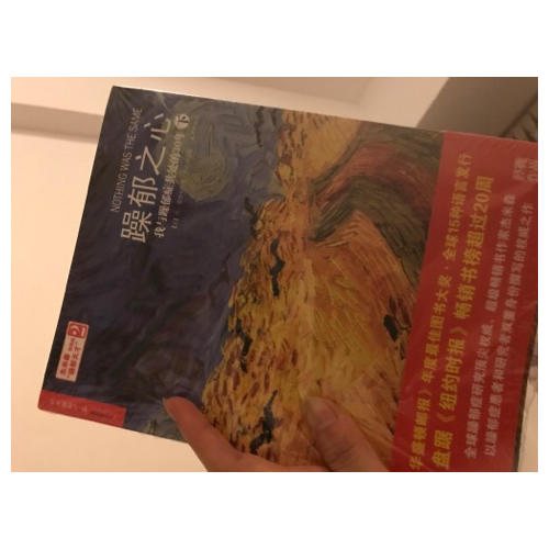 躁郁之心：我與躁郁癥共處的30年（上）