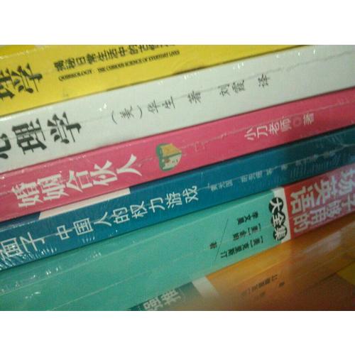 婚姻合伙人