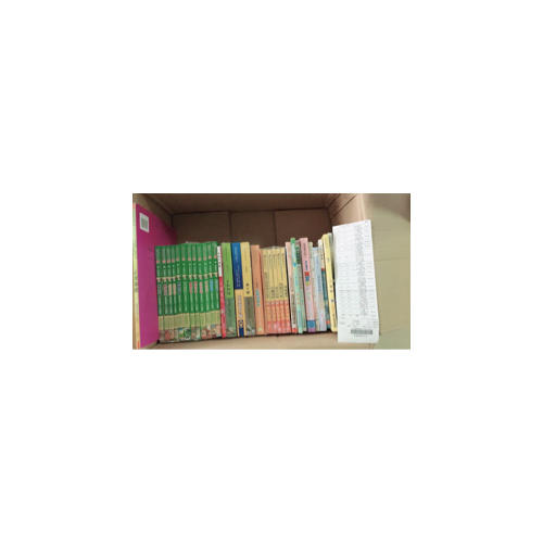 一百條裙子（國(guó)際大獎(jiǎng)小說(shuō)升級(jí)版）
