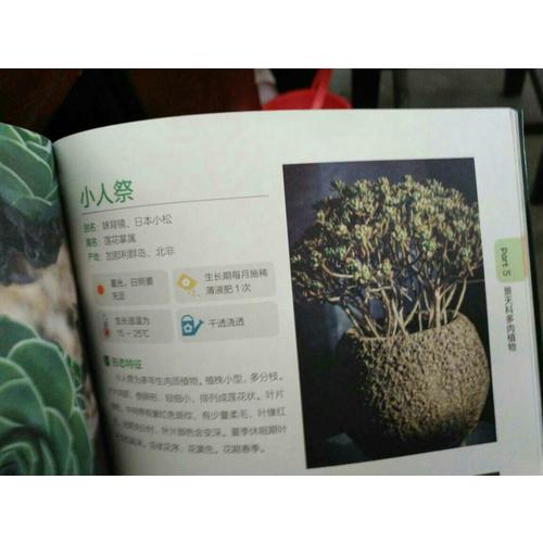 常見多肉植物原色圖鑒