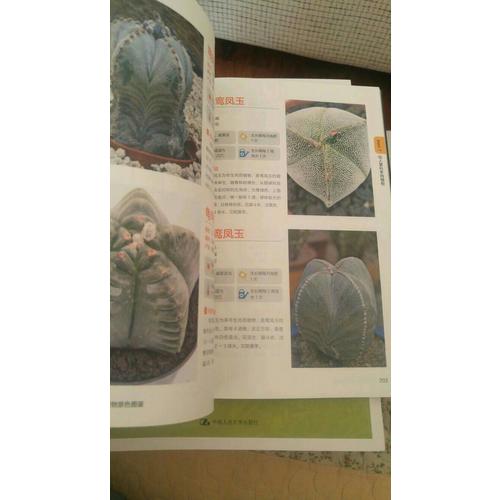 常見多肉植物原色圖鑒