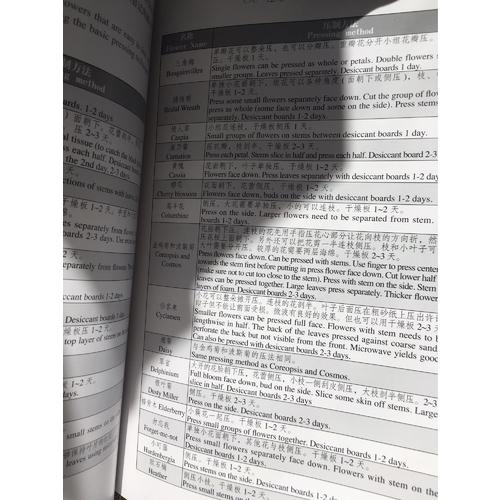 壓花藝術(初級)