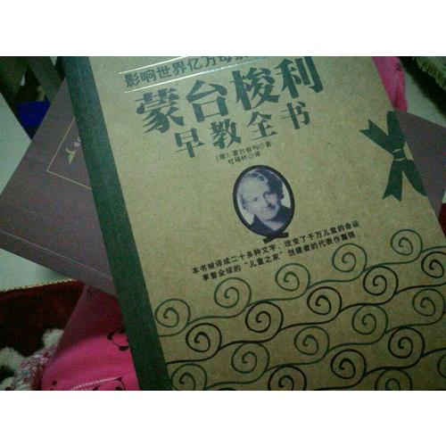 影響世界億萬母親的早教經(jīng)典
