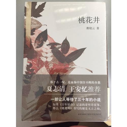 桃花井