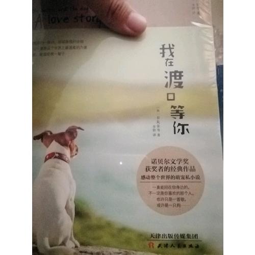 我在渡口等你