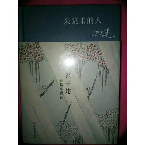 采漿果的人·遲子建短篇小說選（精裝）