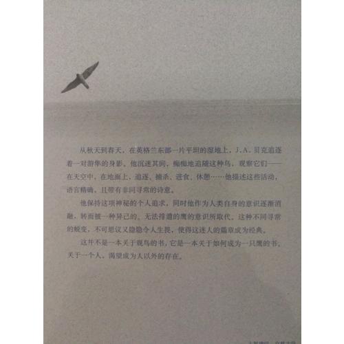 游隼
