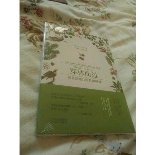 穿林而過