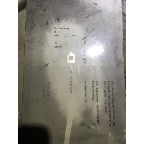 過去的痛：梅·薩藤獨居日記