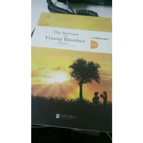 The sorrows of young Werther 少年維特之煩惱（英文版）