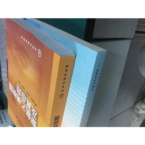 合成樹脂及應(yīng)用叢書：聚氯乙烯樹脂及其應(yīng)用