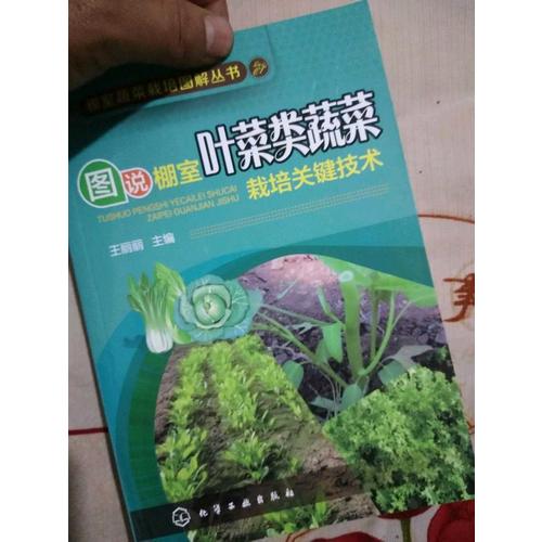 圖說棚室葉菜類蔬菜栽培關(guān)鍵技術(shù)