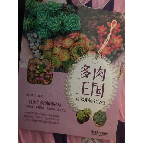多肉王國：從零開始學種植