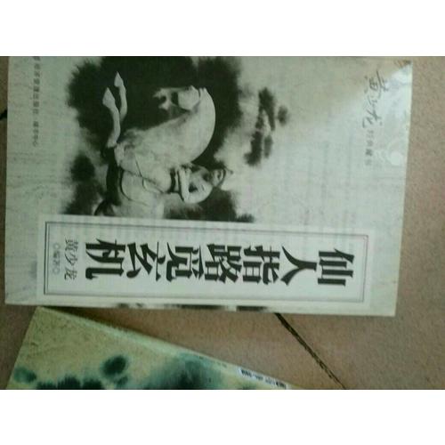 仙人指路覓玄機