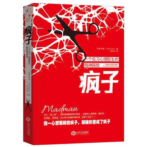 瘋子：一個實習心理醫生的精神探險