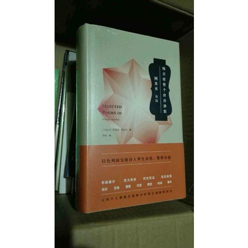 噪音使整個(gè)世界靜默：耶胡達(dá)·阿米亥詩(shī)選