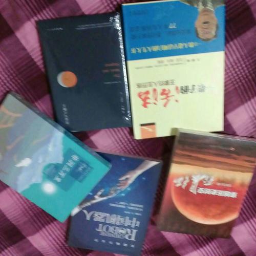 中國機器人