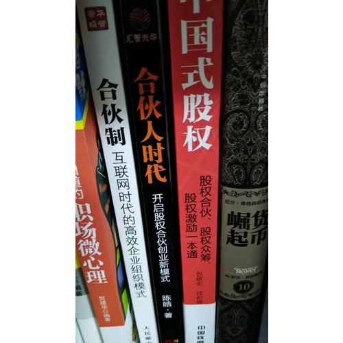 中國式股權：股權合伙、股權眾籌、股權激勵一本通