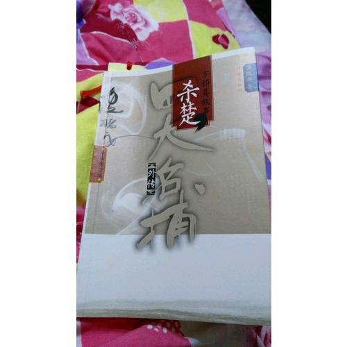 四大名捕外傳方邪真故事：殺楚
