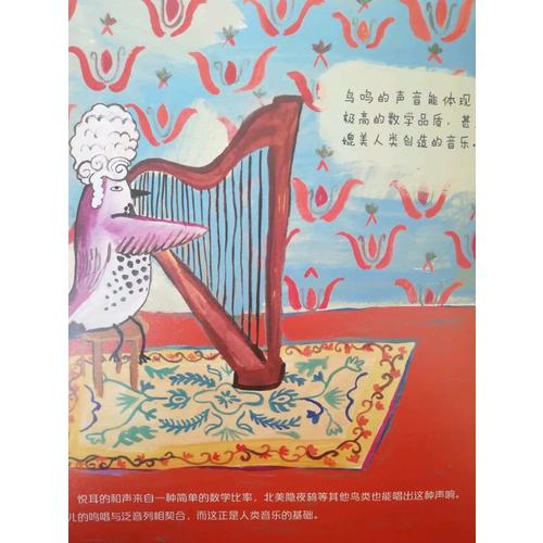 生命 : 萬物不可思議的連接方式