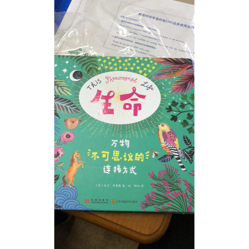 生命 : 萬物不可思議的連接方式