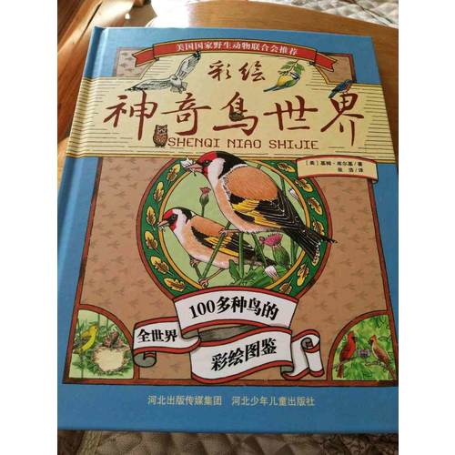 神奇鳥世界