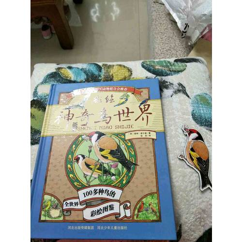 神奇鳥世界
