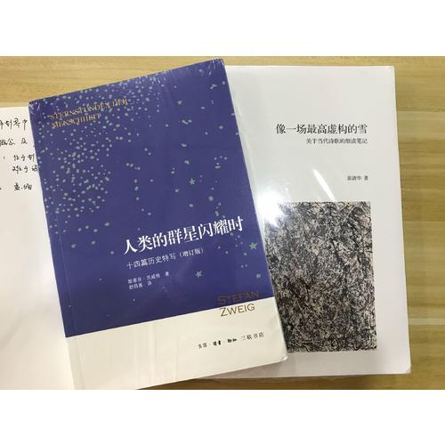 像一場虛構(gòu)的雪：關(guān)于當(dāng)代詩歌的細(xì)讀筆記