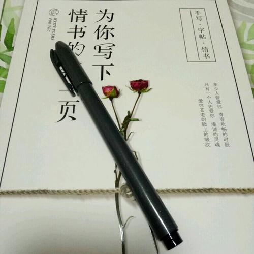為你寫下情書的每一頁