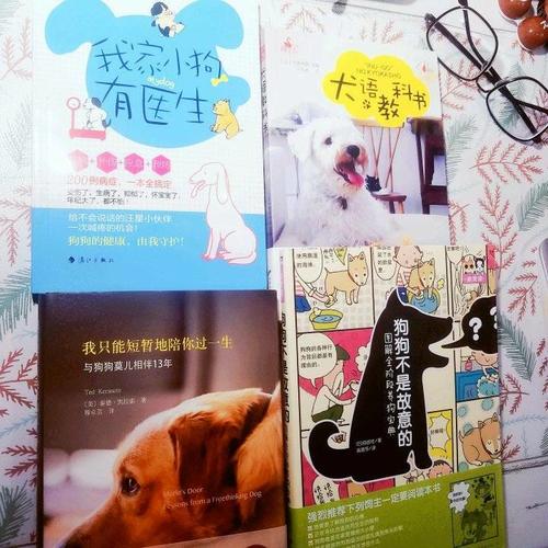 我家小狗有醫生