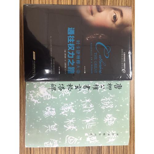 唐柳公權書玄秘塔碑/歷代碑帖法書選